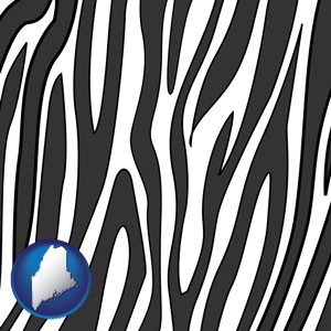 a zebra print - with Maine icon