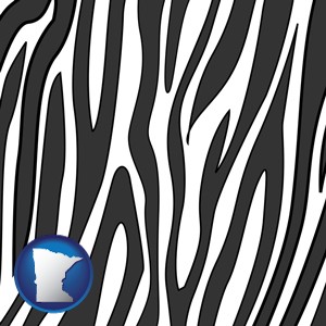 a zebra print - with Minnesota icon