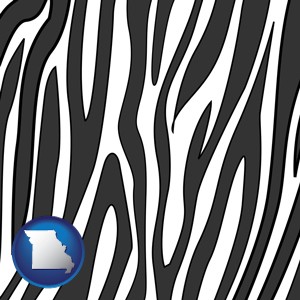 a zebra print - with Missouri icon