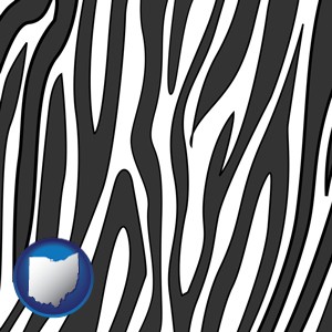 a zebra print - with Ohio icon