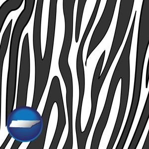 a zebra print - with Tennessee icon