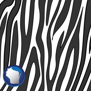 a zebra print - with Wisconsin icon