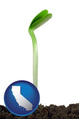 california map icon and a bean plant seedling
