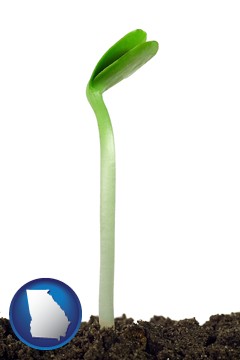 a bean plant seedling - with Georgia icon