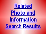 Search for Related Information and Photos