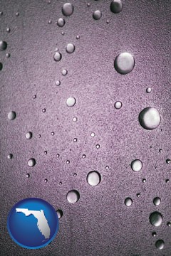 water droplets on a shower door - with Florida icon