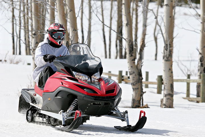 a snowmobile and white birches (large image)
