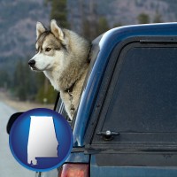 alabama map icon and a truck cap and a Siberian husky