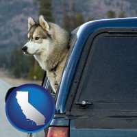 california map icon and a truck cap and a Siberian husky