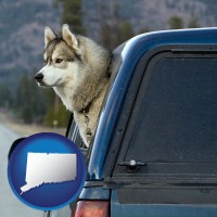 connecticut map icon and a truck cap and a Siberian husky