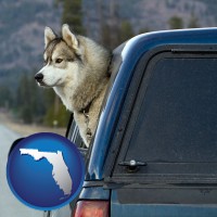 florida map icon and a truck cap and a Siberian husky