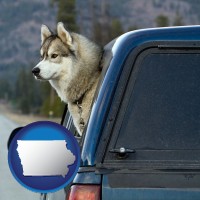 iowa map icon and a truck cap and a Siberian husky