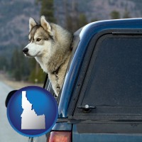 idaho map icon and a truck cap and a Siberian husky
