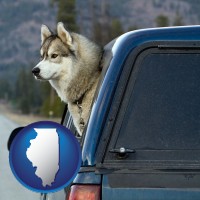 illinois map icon and a truck cap and a Siberian husky