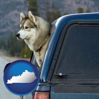 kentucky map icon and a truck cap and a Siberian husky