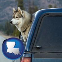 louisiana map icon and a truck cap and a Siberian husky