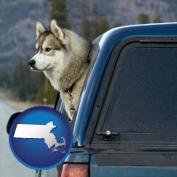 massachusetts map icon and a truck cap and a Siberian husky
