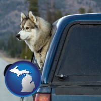 michigan map icon and a truck cap and a Siberian husky