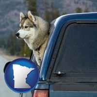 minnesota map icon and a truck cap and a Siberian husky