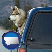 montana map icon and a truck cap and a Siberian husky