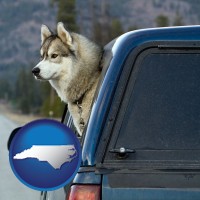 north-carolina map icon and a truck cap and a Siberian husky