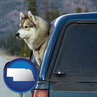 nebraska map icon and a truck cap and a Siberian husky