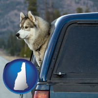 new-hampshire map icon and a truck cap and a Siberian husky