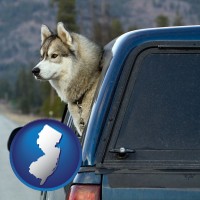 new-jersey map icon and a truck cap and a Siberian husky
