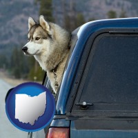 ohio map icon and a truck cap and a Siberian husky