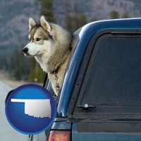 oklahoma map icon and a truck cap and a Siberian husky