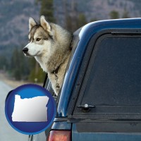 oregon map icon and a truck cap and a Siberian husky
