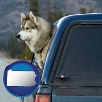 pennsylvania map icon and a truck cap and a Siberian husky
