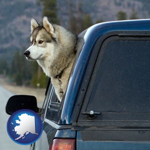a truck cap and a Siberian husky - with Alaska icon
