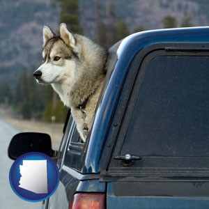 a truck cap and a Siberian husky - with Arizona icon