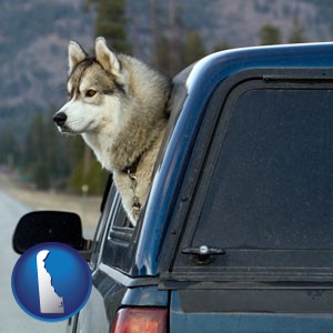 a truck cap and a Siberian husky - with Delaware icon