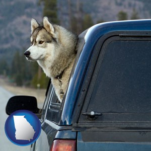 a truck cap and a Siberian husky - with Georgia icon