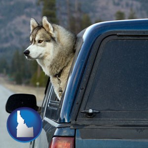 a truck cap and a Siberian husky - with Idaho icon