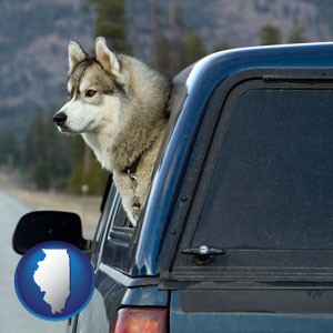 a truck cap and a Siberian husky - with Illinois icon