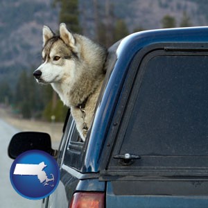 a truck cap and a Siberian husky - with Massachusetts icon