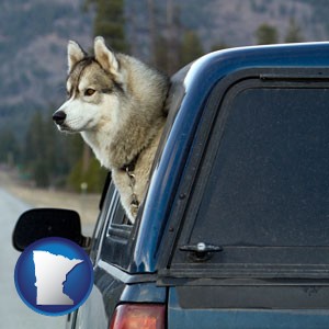 a truck cap and a Siberian husky - with Minnesota icon