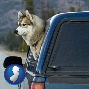 a truck cap and a Siberian husky - with New Jersey icon