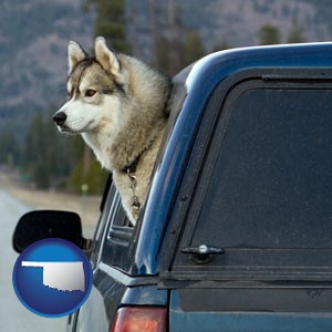 a truck cap and a Siberian husky - with Oklahoma icon