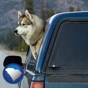 a truck cap and a Siberian husky - with South Carolina icon