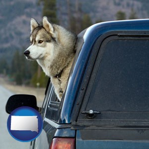 a truck cap and a Siberian husky - with South Dakota icon