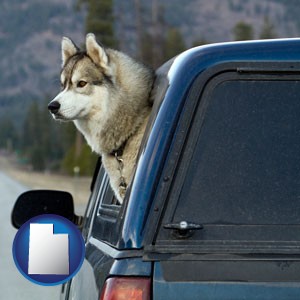 a truck cap and a Siberian husky - with Utah icon