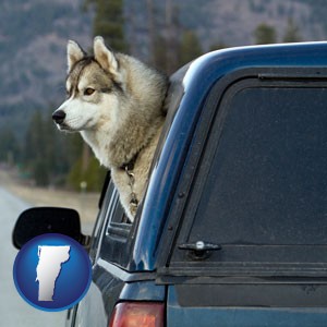 a truck cap and a Siberian husky - with Vermont icon
