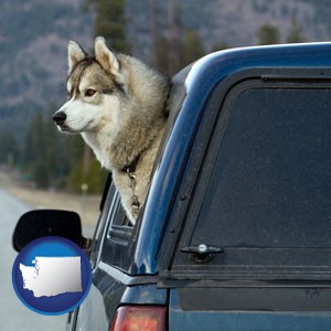 a truck cap and a Siberian husky - with Washington icon