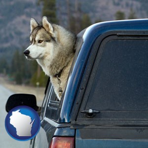 a truck cap and a Siberian husky - with Wisconsin icon