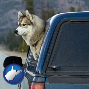 a truck cap and a Siberian husky - with West Virginia icon
