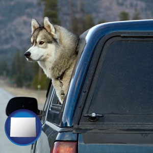 a truck cap and a Siberian husky - with Wyoming icon